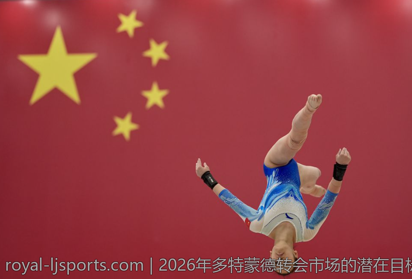 2026年多特蒙德转会市场的潜在目标分析